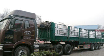 Kerui Ceramic Fiber Products and Refractory Castable Shipped to Russia